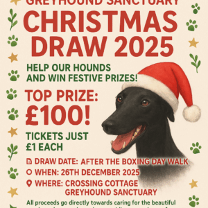 Christmas Draw 2025