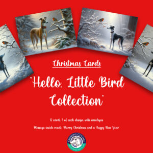 Hello, Little Bird - Christmas Cards