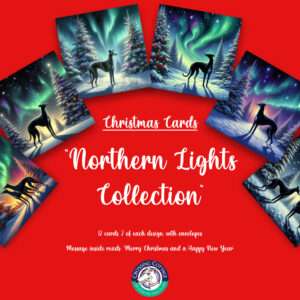 Northern Lights - Christmas Cards