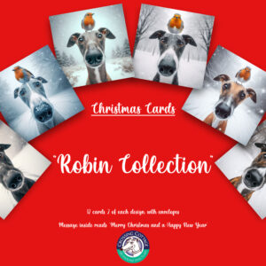 Robin - Christmas Cards
