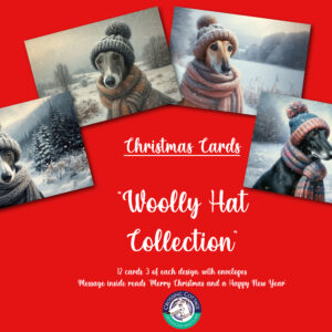 Wooly Hats - Christmas Cards